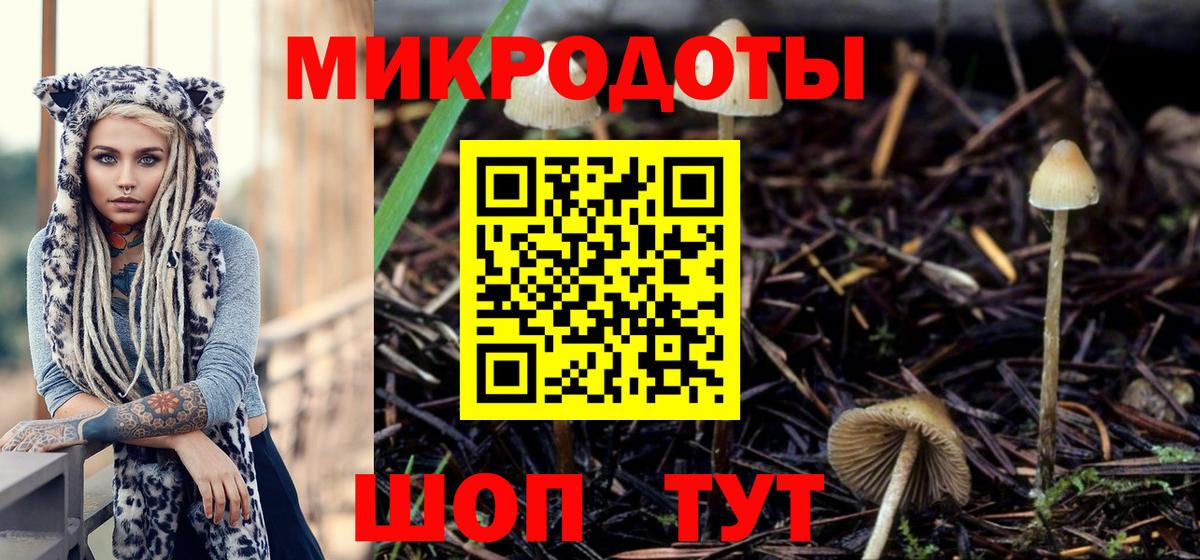 Галлюциногенные грибы мицелий  Вход с VPN  Моршанск 